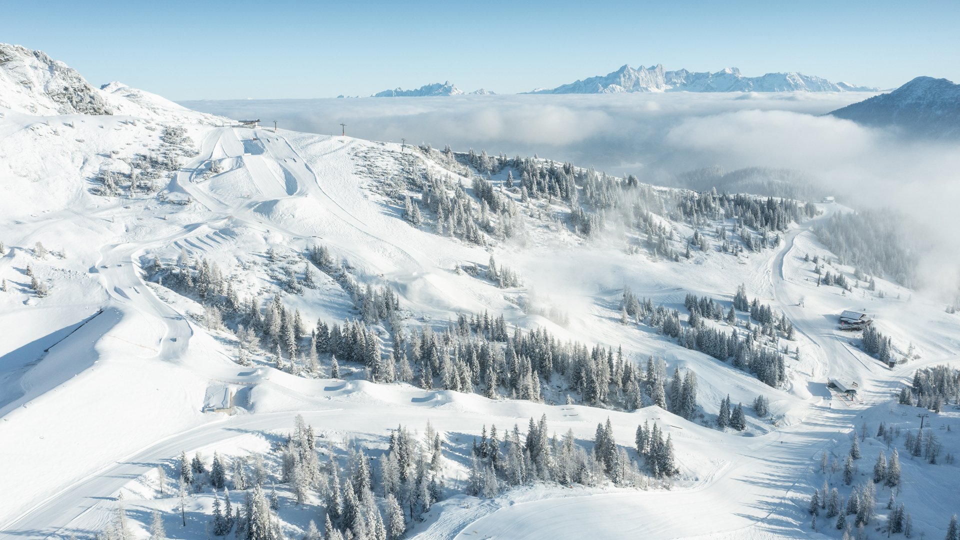 Header image